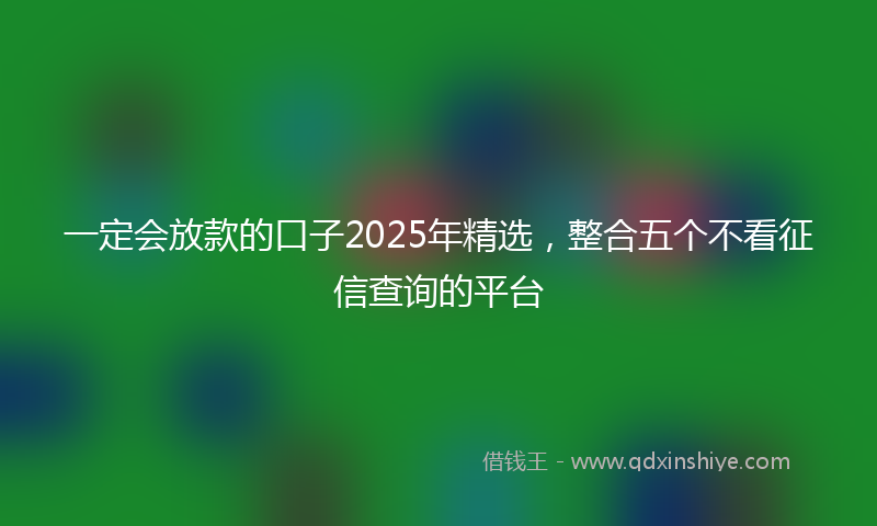 一定会放款的口子2025年精选，整合五个不看征信查询的平台
