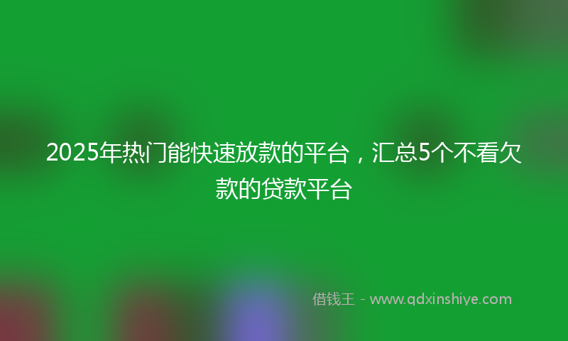 2025年热门能快速放款的平台,汇总5个不看欠款的贷款平台