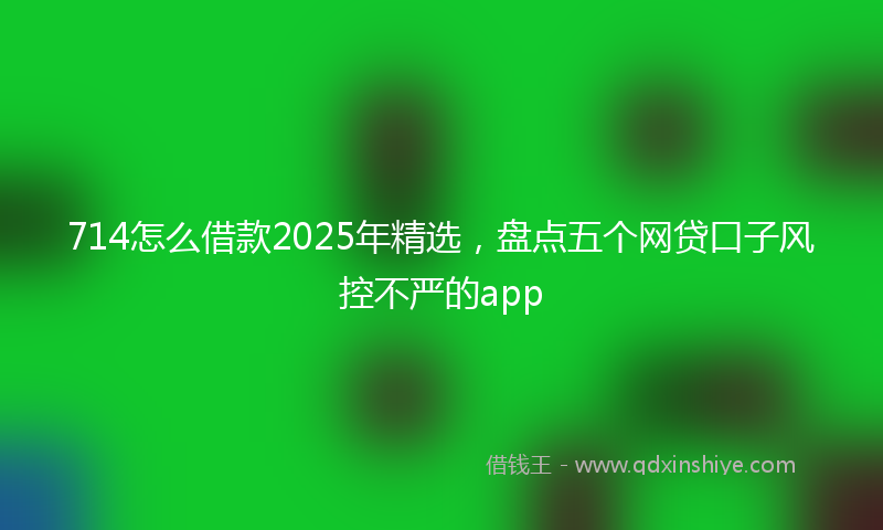 714怎么借款2025年精选，盘点五个网贷口子风控不严的app