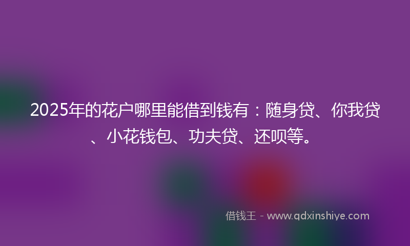 2025年的花户哪里能借到钱有：随身贷、你我贷、小花钱包、功夫贷、还呗等。