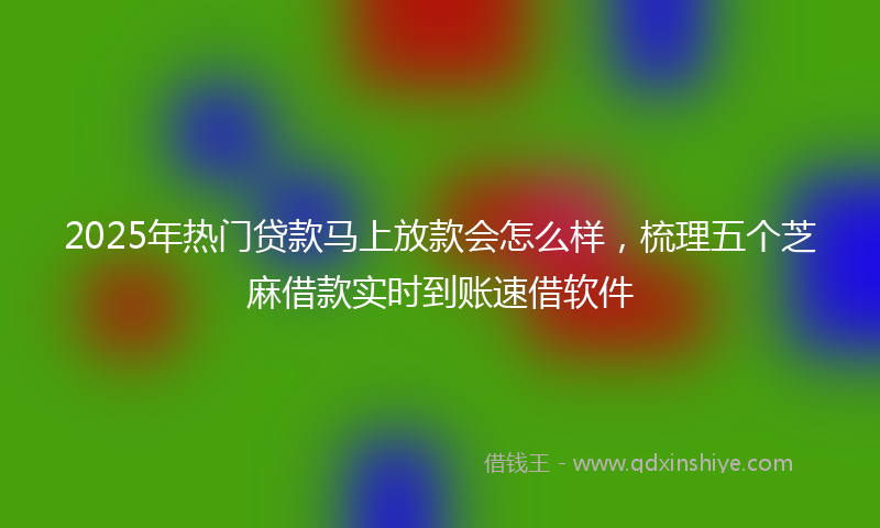 2025年热门贷款马上放款会怎么样，梳理五个芝麻借款实时到账速借软件