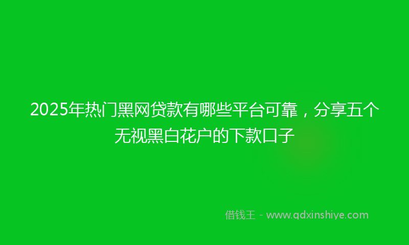 2025年热门黑网贷款有哪些平台可靠，分享五个无视黑白花户的下款口子