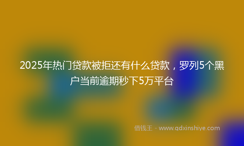 2025年热门贷款被拒还有什么贷款，罗列5个黑户当前逾期秒下5万平台