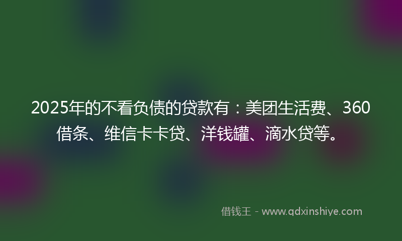 2025年的不看负债的贷款有：美团生活费、360借条、维信卡卡贷、洋钱罐、滴水贷等。