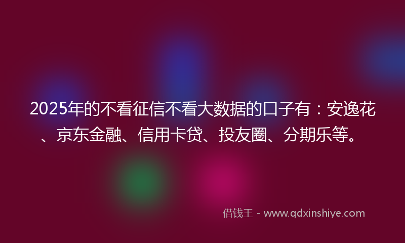 2025年的不看征信不看大数据的口子有：安逸花、京东金融、信用卡贷、投友圈、分期乐等。