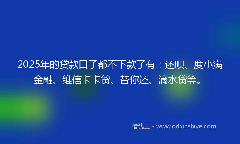 2025年的贷款口子都不下款了有：还呗、度小满金融、维信卡卡贷、替你还、滴水贷等。