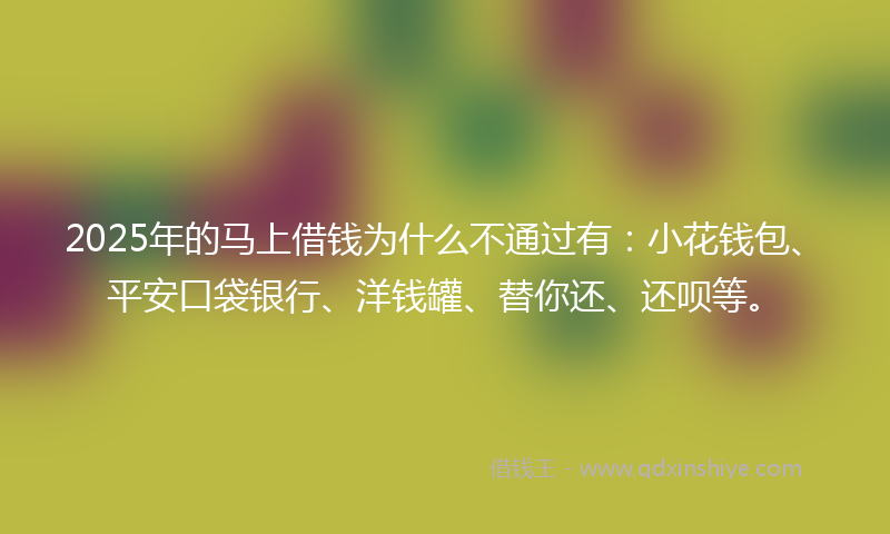 2025年的马上借钱为什么不通过有：小花钱包、平安口袋银行、洋钱罐、替你还、还呗等。