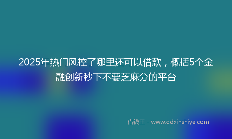 2025年热门风控了哪里还可以借款，概括5个金融创新秒下不要芝麻分的平台
