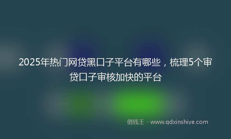 2025年热门网贷黑口子平台有哪些，梳理5个审贷口子审核加快的平台