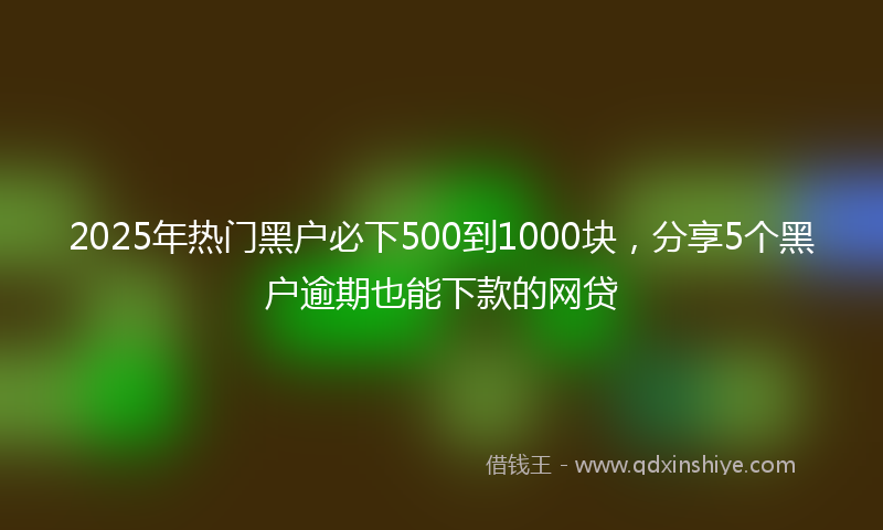 2025年热门黑户必下500到1000块，分享5个黑户逾期也能下款的网贷