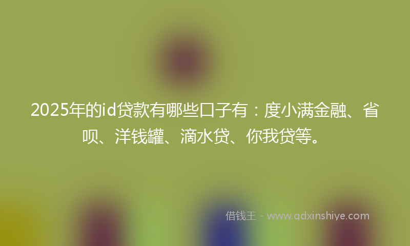 2025年的id贷款有哪些口子有：度小满金融、省呗、洋钱罐、滴水贷、你我贷等。
