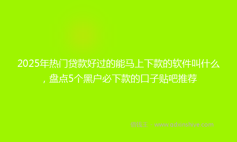 2025年热门贷款好过的能马上下款的软件叫什么，盘点5个黑户必下款的口子贴吧推荐