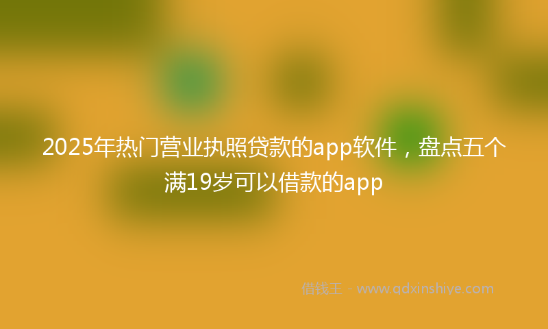 2025年热门营业执照贷款的app软件，盘点五个满19岁可以借款的app