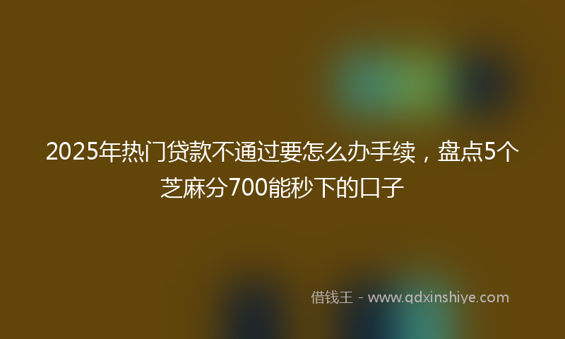 2025年热门贷款不通过要怎么办手续，盘点5个芝麻分700能秒下的口子