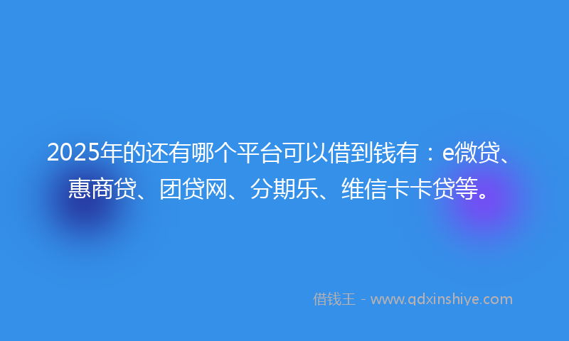 2025年的还有哪个平台可以借到钱有：e微贷、惠商贷、团贷网、分期乐、维信卡卡贷等。