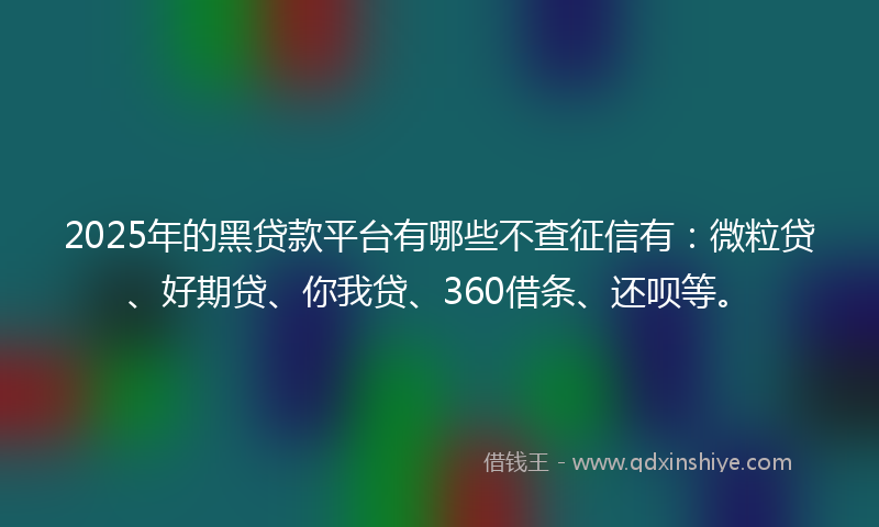 2025年的黑贷款平台有哪些不查征信有:微粒贷、好期贷、你我贷、360借条、还呗等。