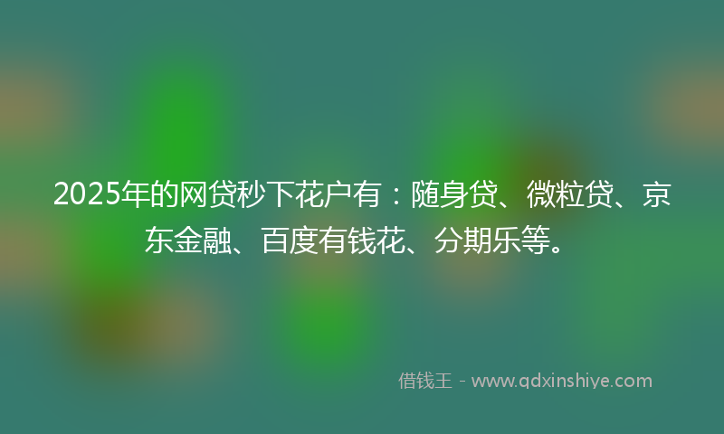2025年的网贷秒下花户有：随身贷、微粒贷、京东金融、百度有钱花、分期乐等。
