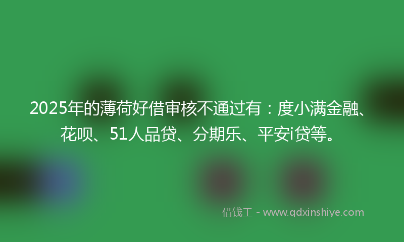 2025年的薄荷好借审核不通过有：度小满金融、花呗、51人品贷、分期乐、平安i贷等。