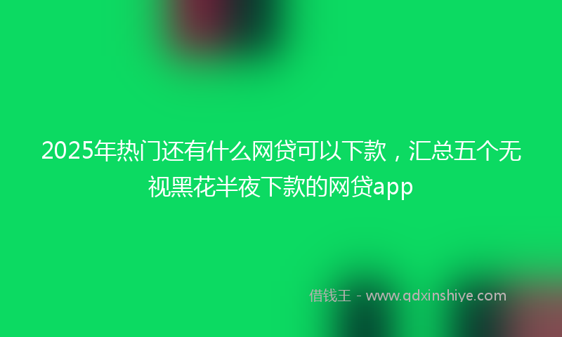 2025年热门还有什么网贷可以下款，汇总五个无视黑花半夜下款的网贷app