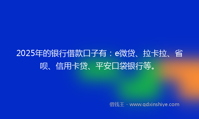 2025年的银行借款口子有：e微贷、拉卡拉、省呗、信用卡贷、平安口袋银行等。