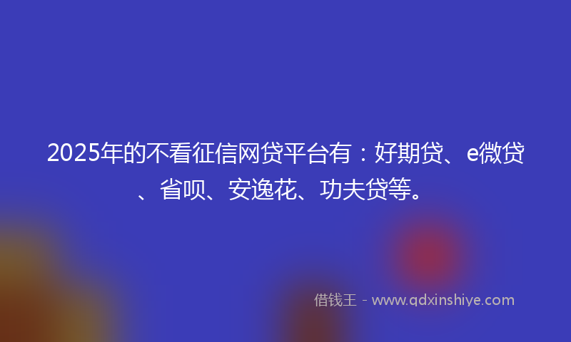 2025年的不看征信网贷平台有：好期贷、e微贷、省呗、安逸花、功夫贷等。