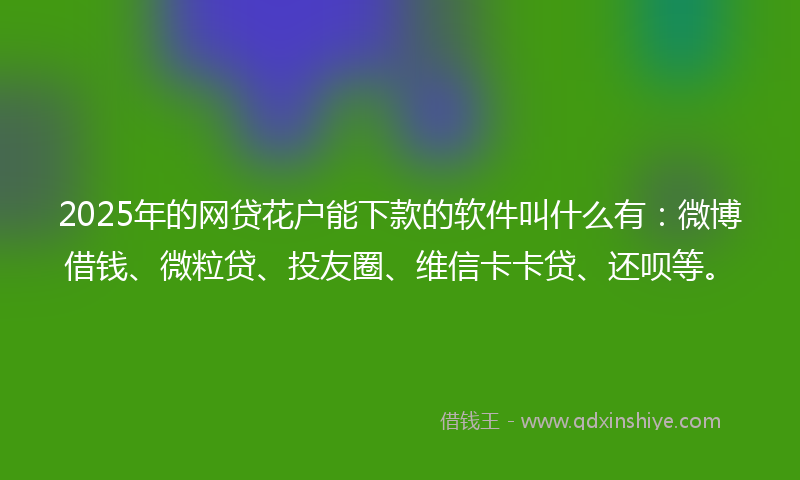 2025年的网贷花户能下款的软件叫什么有：微博借钱、微粒贷、投友圈、维信卡卡贷、还呗等。