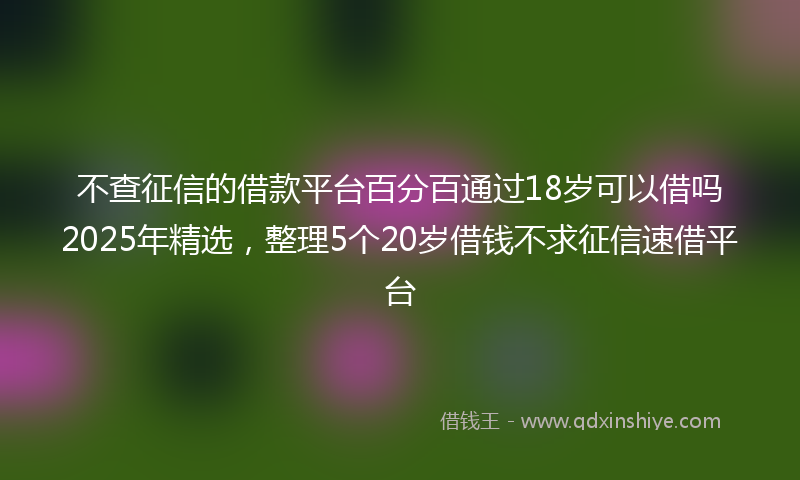 不查征信的借款平台百分百通过18岁可以借吗2025年精选，整理5个20岁借钱不求征信速借平台
