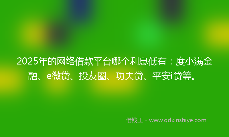 2025年的网络借款平台哪个利息低有：度小满金融、e微贷、投友圈、功夫贷、平安i贷等。