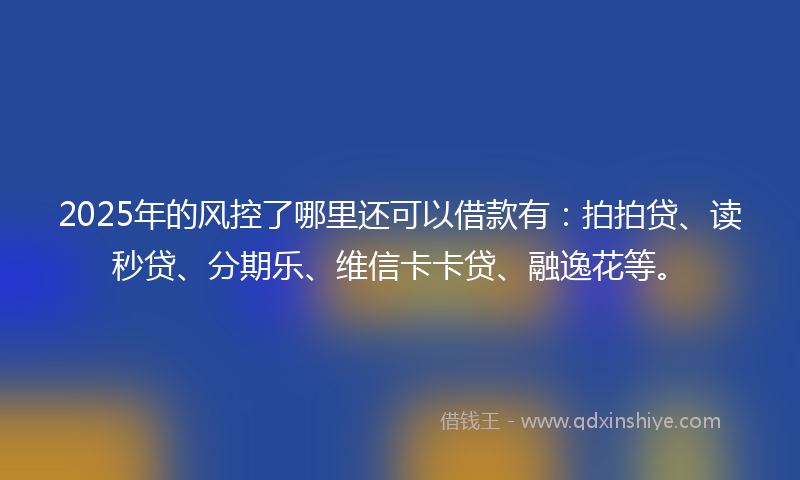2025年的风控了哪里还可以借款有：拍拍贷、读秒贷、分期乐、维信卡卡贷、融逸花等。