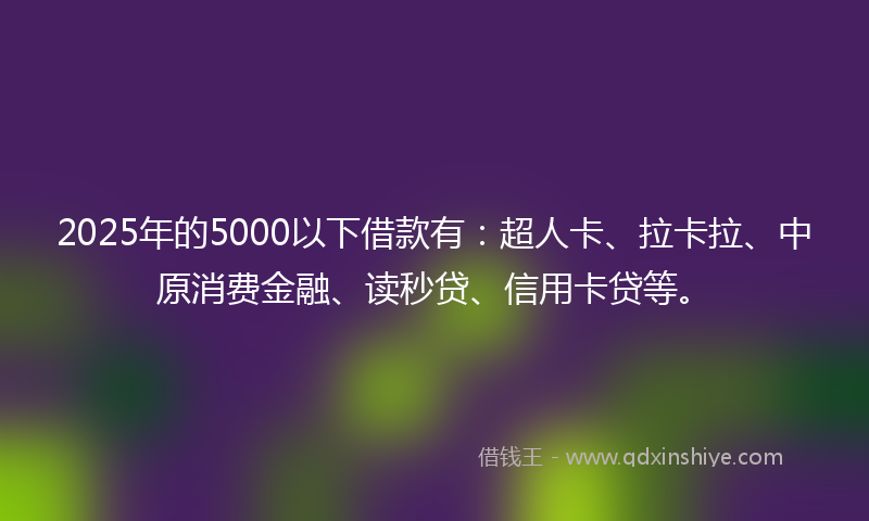 2025年的5000以下借款有：超人卡、拉卡拉、中原消费金融、读秒贷、信用卡贷等。