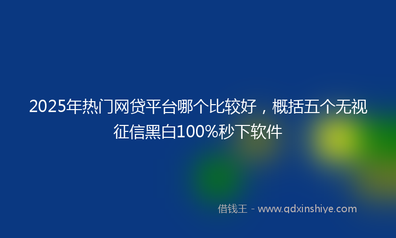 2025年热门网贷平台哪个比较好，概括五个无视征信黑白100%秒下软件
