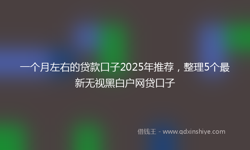 一个月左右的贷款口子2025年推荐，整理5个最新无视黑白户网贷口子