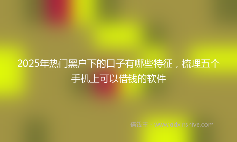 2025年热门黑户下的口子有哪些特征，梳理五个手机上可以借钱的软件