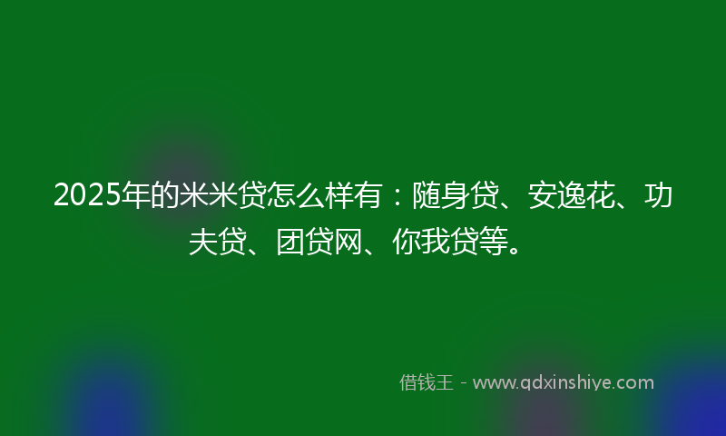 2025年的米米贷怎么样有：随身贷、安逸花、功夫贷、团贷网、你我贷等。