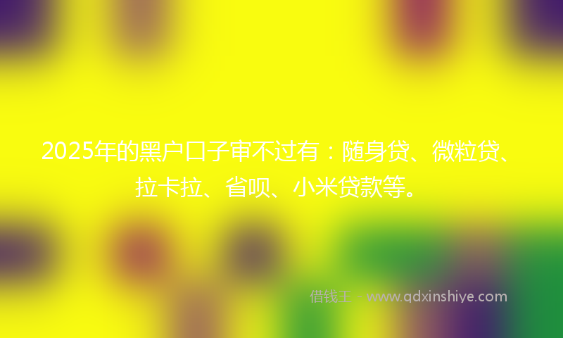 2025年的黑户口子审不过有：随身贷、微粒贷、拉卡拉、省呗、小米贷款等。