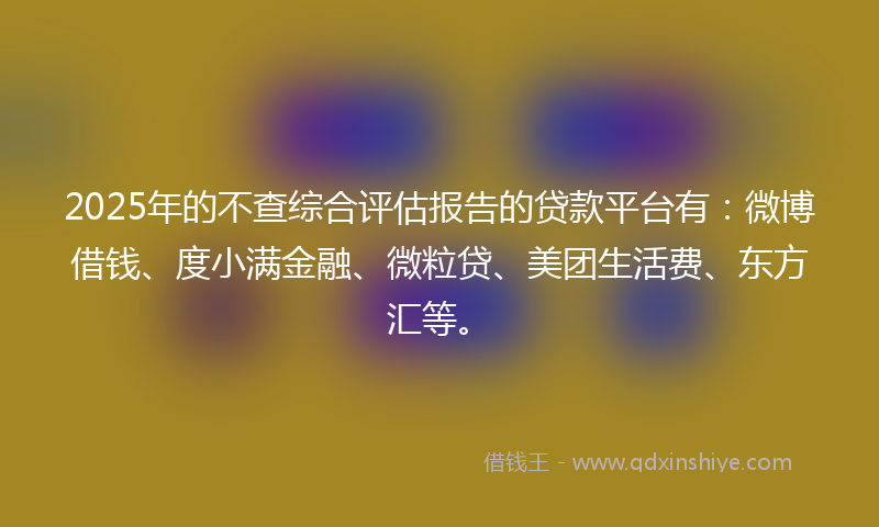 2025年的不查综合评估报告的贷款平台有：微博借钱、度小满金融、微粒贷、美团生活费、东方汇等。