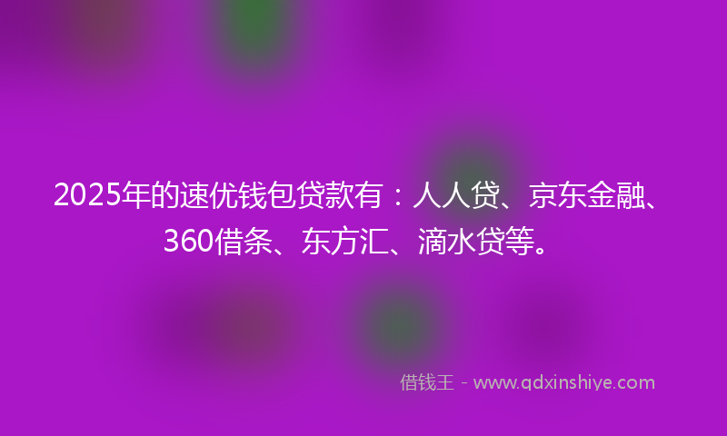 2025年的速优钱包贷款有：人人贷、京东金融、360借条、东方汇、滴水贷等。