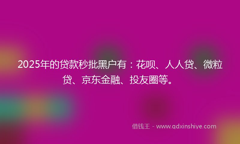 2025年的贷款秒批黑户有：花呗、人人贷、微粒贷、京东金融、投友圈等。