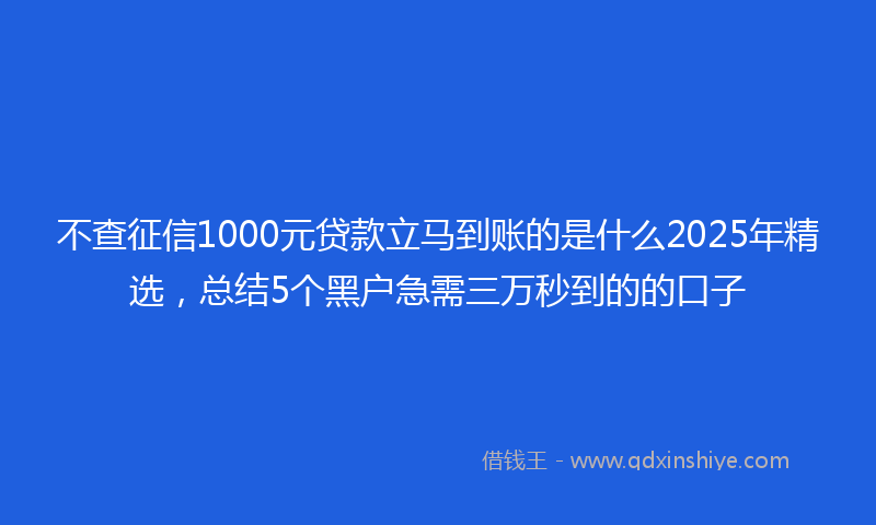 不查征信1000元贷款立马到账的是什么2025年精选，总结5个黑户急需三万秒到的的口子