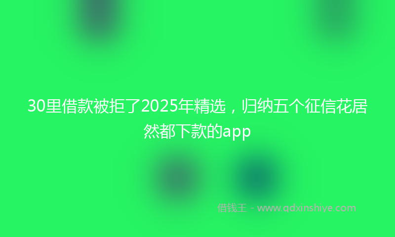 30里借款被拒了2025年精选，归纳五个征信花居然都下款的app