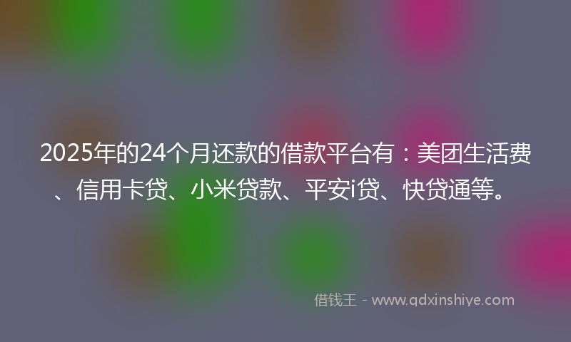 2025年的24个月还款的借款平台有：美团生活费、信用卡贷、小米贷款、平安i贷、快贷通等。
