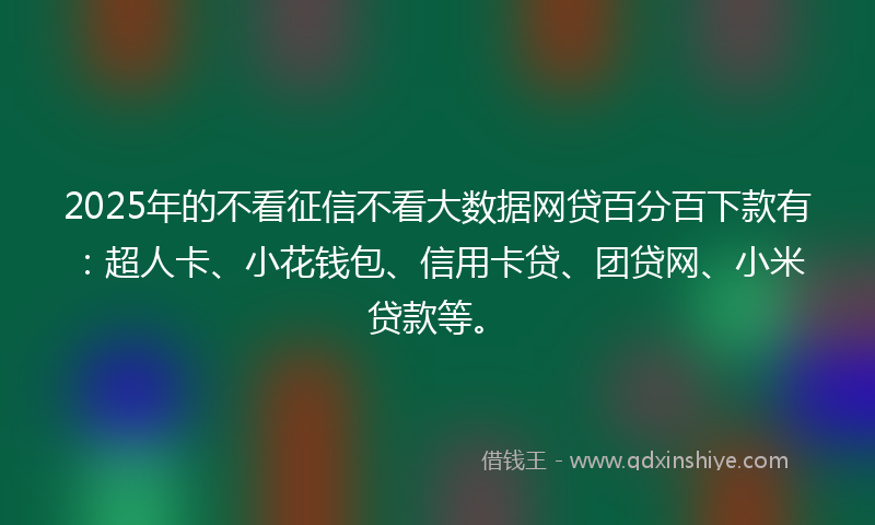 2025年的不看征信不看大数据网贷百分百下款有：超人卡、小花钱包、信用卡贷、团贷网、小米贷款等。