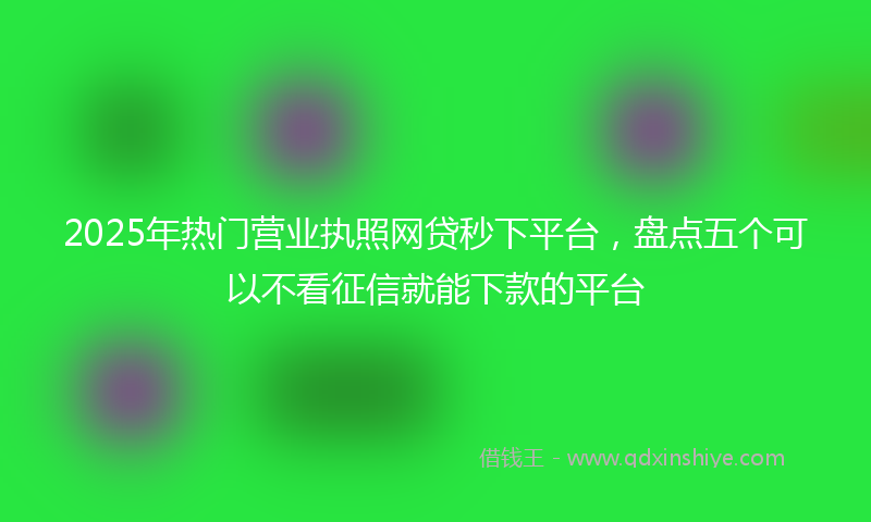 2025年热门营业执照网贷秒下平台，盘点五个可以不看征信就能下款的平台