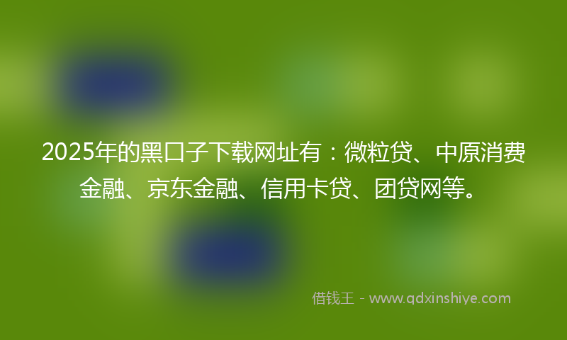 2025年的黑口子下载网址有：微粒贷、中原消费金融、京东金融、信用卡贷、团贷网等。