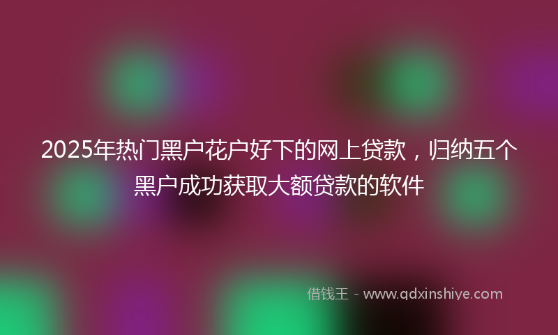 2025年热门黑户花户好下的网上贷款，归纳五个黑户成功获取大额贷款的软件