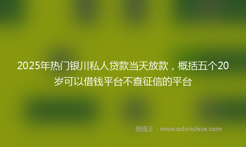 2025年热门银川私人贷款当天放款，概括五个20岁可以借钱平台不查征信的平台