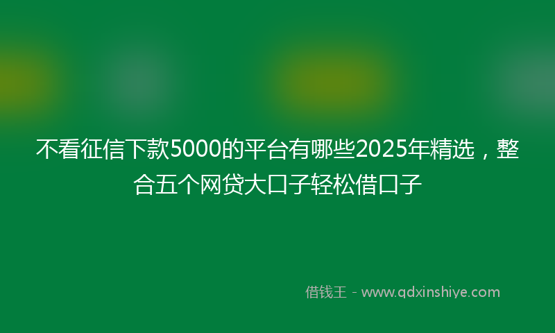 不看征信下款5000的平台有哪些2025年精选，整合五个网贷大口子轻松借口子