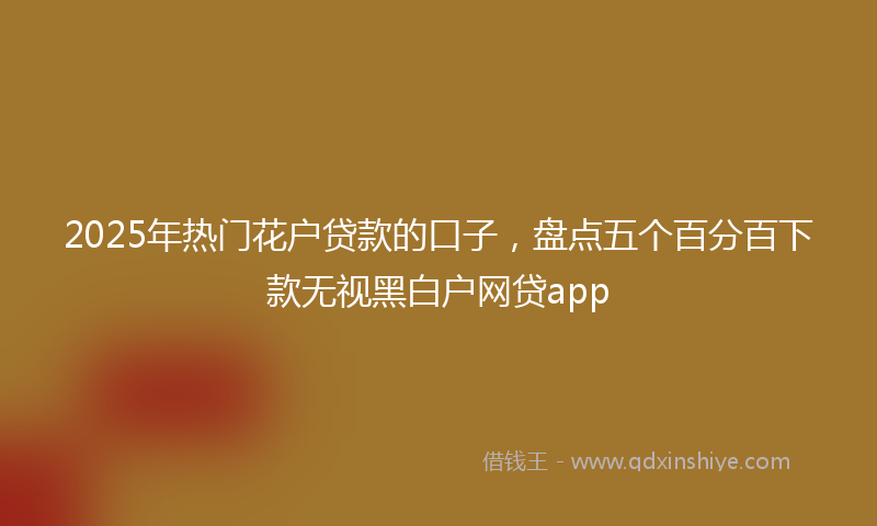 2025年热门花户贷款的口子，盘点五个百分百下款无视黑白户网贷app