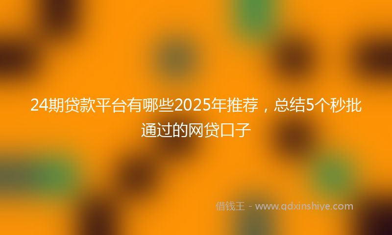 24期贷款平台有哪些2025年推荐，总结5个秒批通过的网贷口子