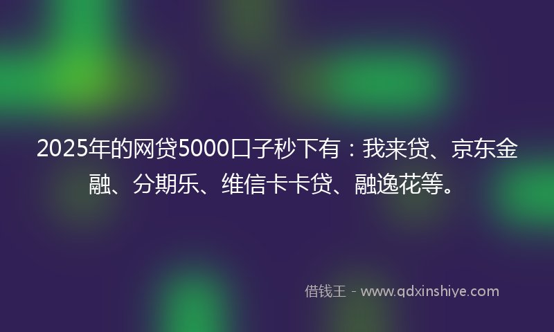 2025年的网贷5000口子秒下有：我来贷、京东金融、分期乐、维信卡卡贷、融逸花等。